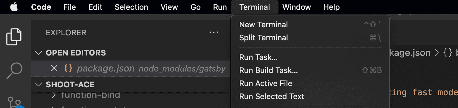 run gatsbyjs in vscode